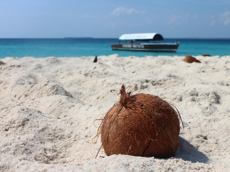 Tanzanija potovanje - Safari in Zanzibar