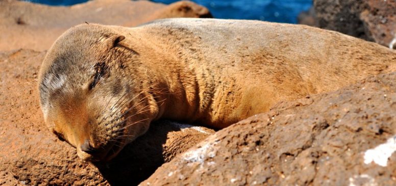 Ekvador in Galapagos potovanje - Odpelji.se