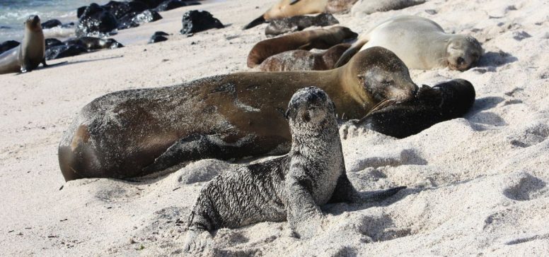 Ekvador in Galapagos potovanje - Odpelji.se