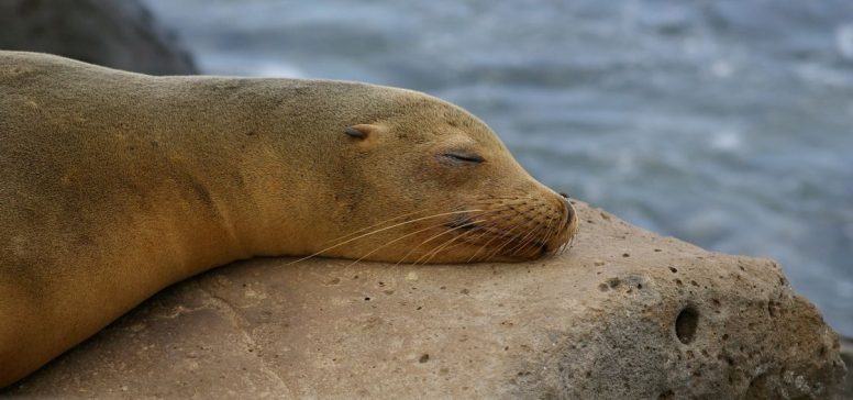 Ekvador in Galapagos potovanje - Odpelji.se