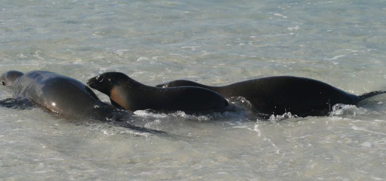 Ekvador in Galapagos potovanje - Odpelji.se