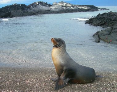Ekvador in Galapagos potovanje