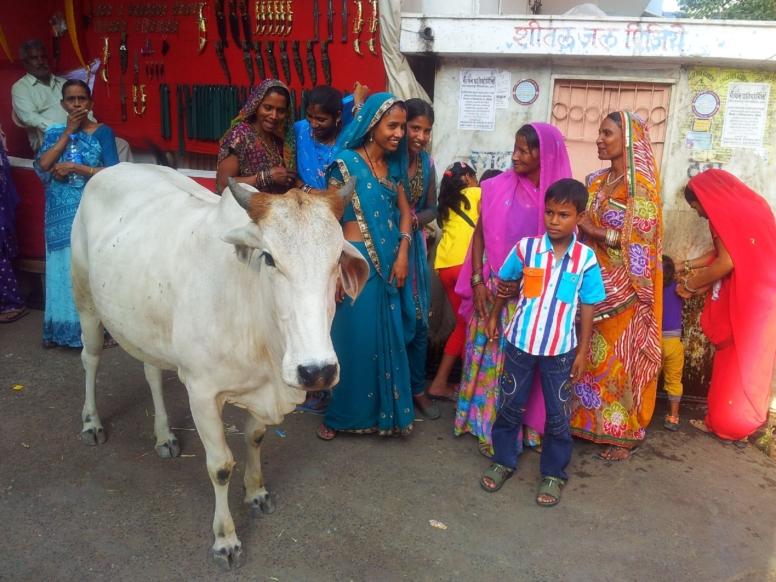 indija potovanje - rajasthan - pushkar