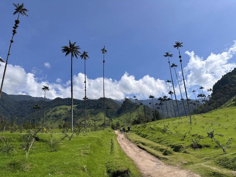 KOLUMBIJA POTOVANJE - COCORA
