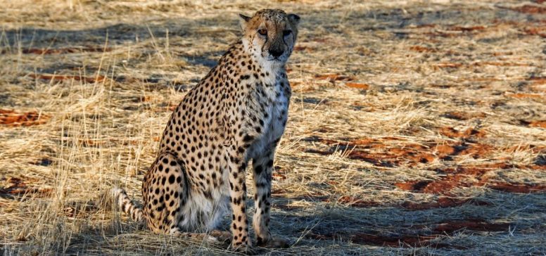 Namibija potovanje - Odpelji.se