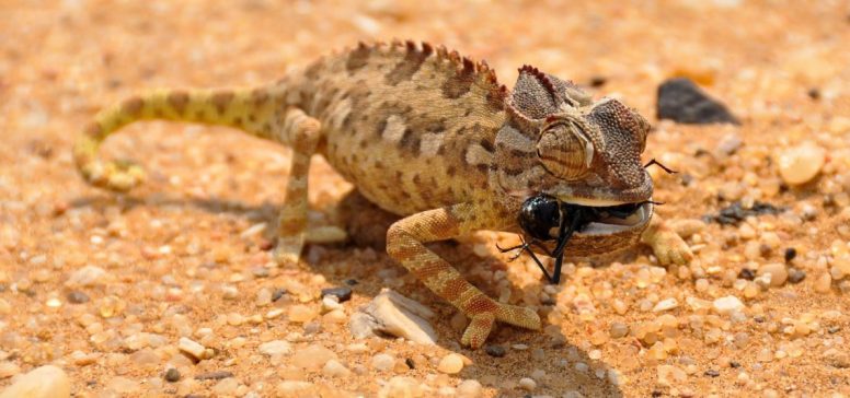 Namibija potovanje - Odpelji.se