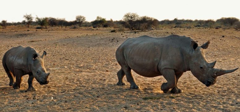 Namibija potovanje - Odpelji.se