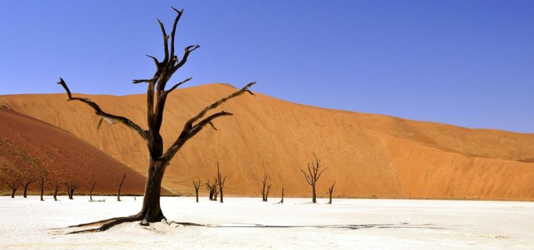 Sossusvlei sipine - Odpelji.se