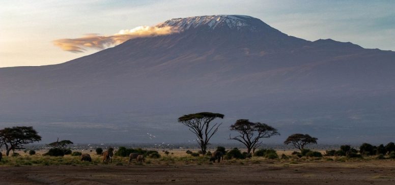 Tanzanija potovanje - Kilimanjaro, Safari in Zanzibar - Odpelji.se
