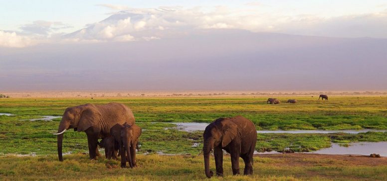Tanzanija potovanje - Kilimanjaro, Safari in Zanzibar - Odpelji.se