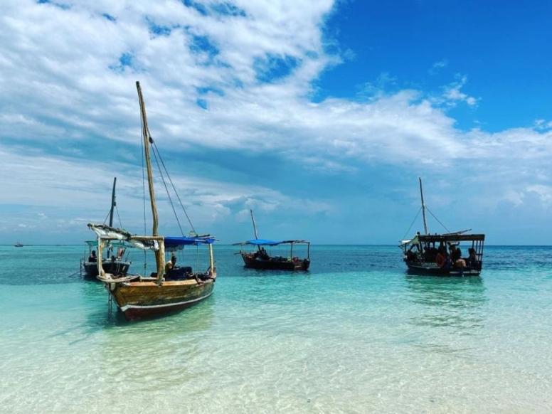 Tanzanija potovanje - Safari in Zanzibar