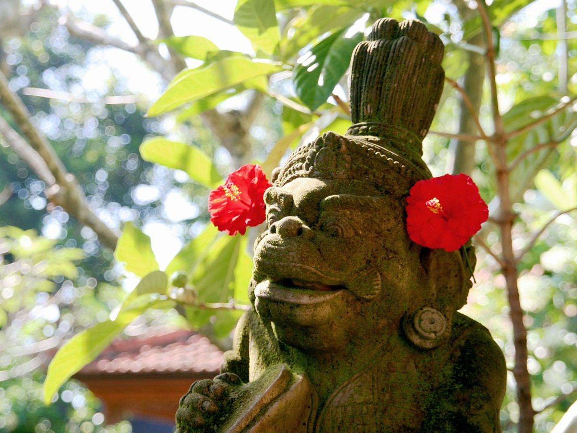 Indonezija potovanje - Java, Bali in Gili