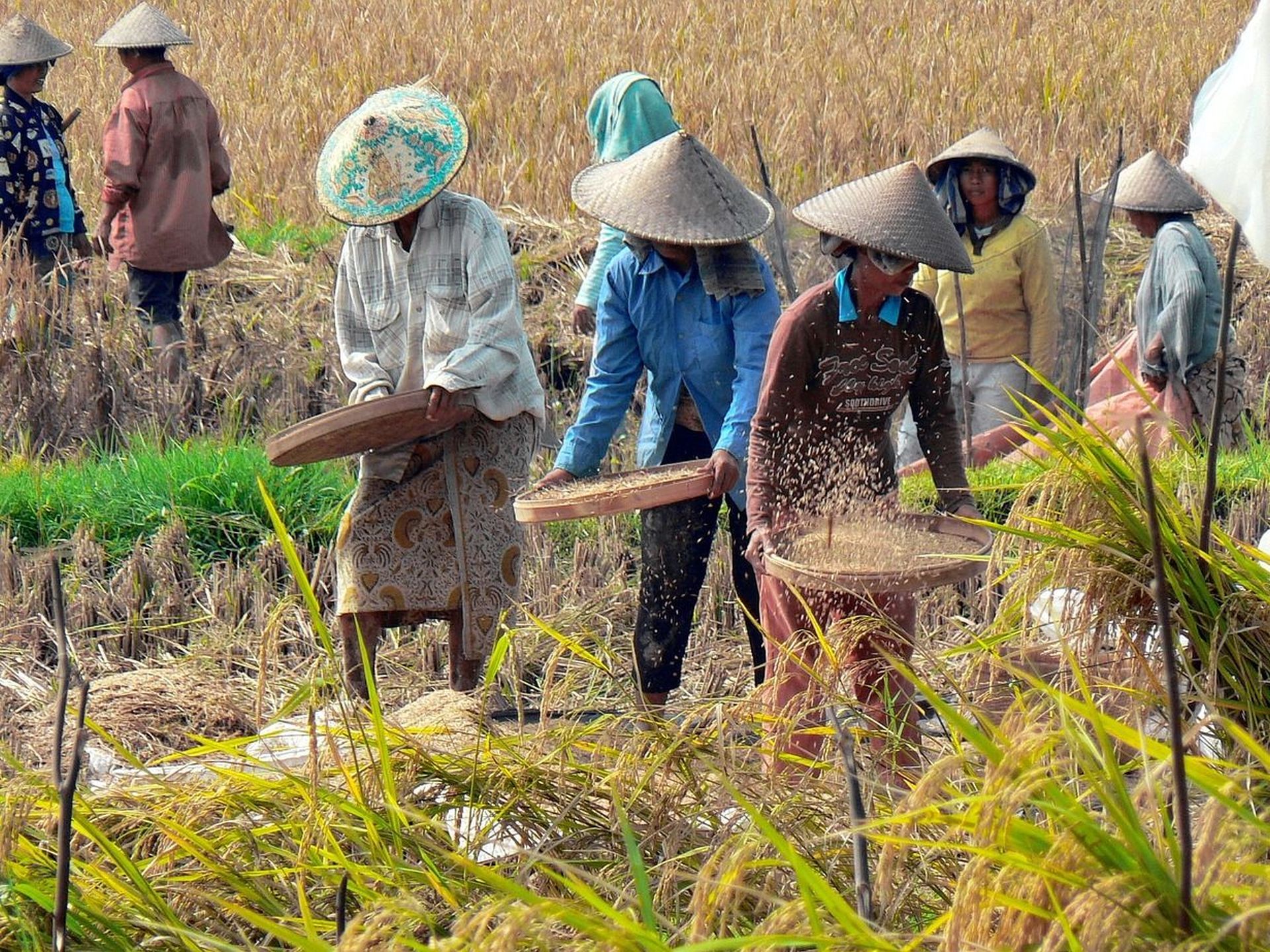 Indonezija potovanje - Java, Bali in Gili