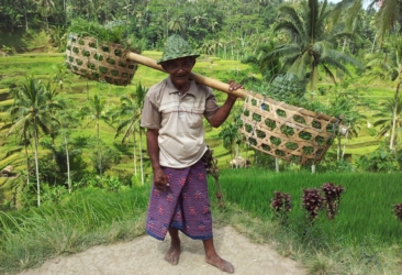 Indonezija potovanje – Java, Bali in Gili