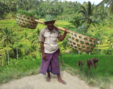 Indonezija potovanje – Java, Bali in Gili
