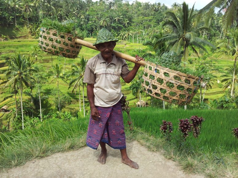 Indonezija potovanje - Bali in Gili - Tegalalang