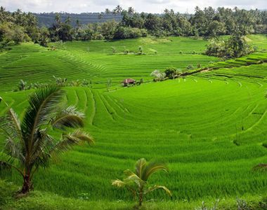 Indonezija potovanje – Bali