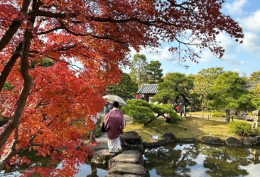 Japonska potovanje