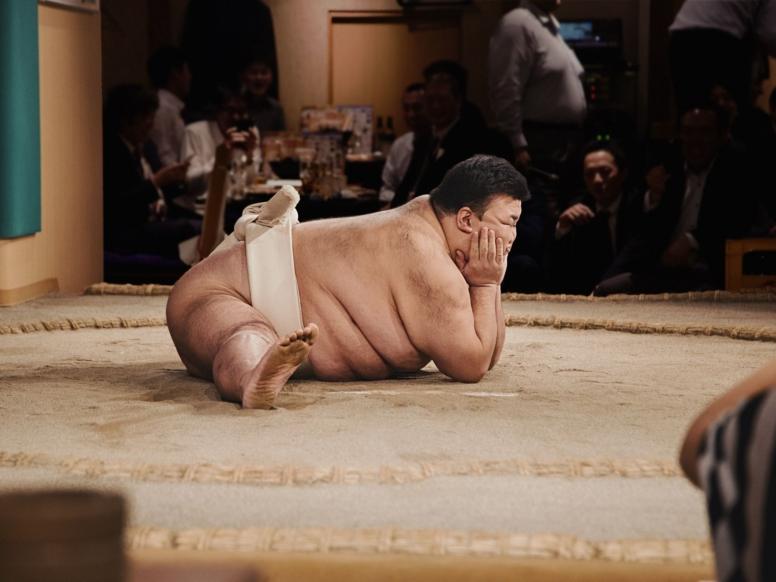sumo borec