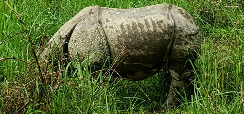 narodni park Chitwan - odpelji.se