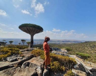 Otok Socotra
