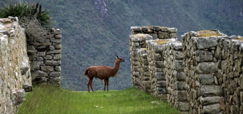 Peru potovanje - angleški vodnik - Odpelji.se