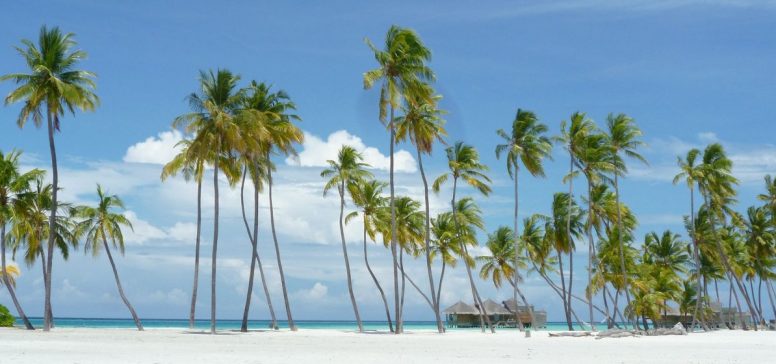 Šri Lanka in Maldivi potovanje - Odpelji.se
