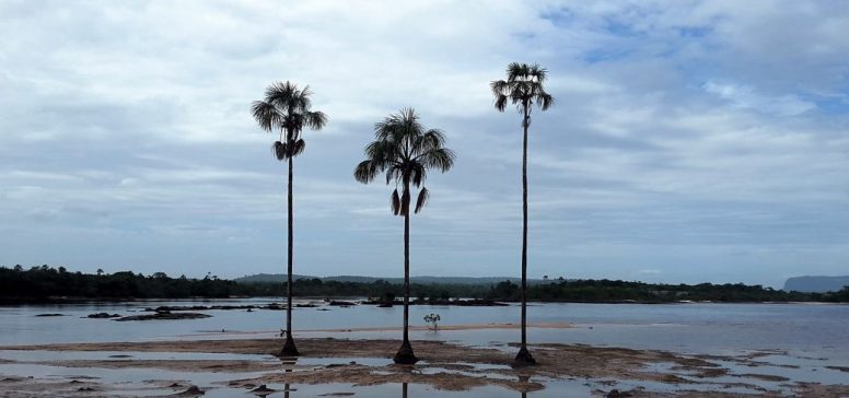 Narodni park Canaima - Odpelji.se