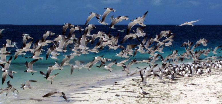 Los Roques - Odpelji.se