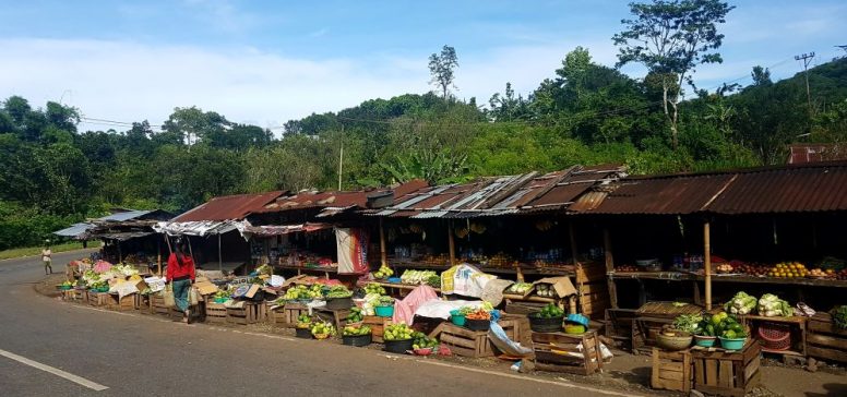 Indonezija potovanje - Čari indonezijske divjine
