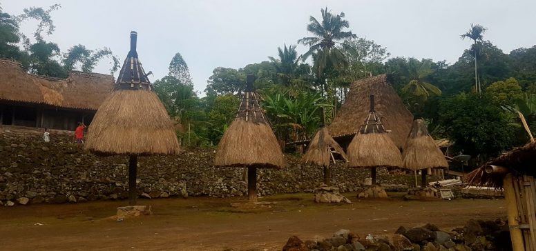 Indonezija potovanje - Čari indonezijske divjine