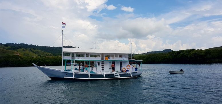 Indonezija potovanje - Čari indonezijske divjine