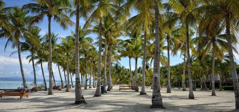 novoletni filipini potovanje - panglao plaza bohol
