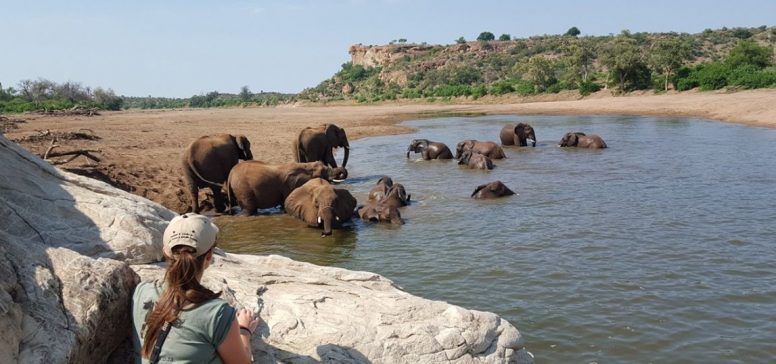 Opazovanje slonov med kopanjem - Safari - Odpelji.se