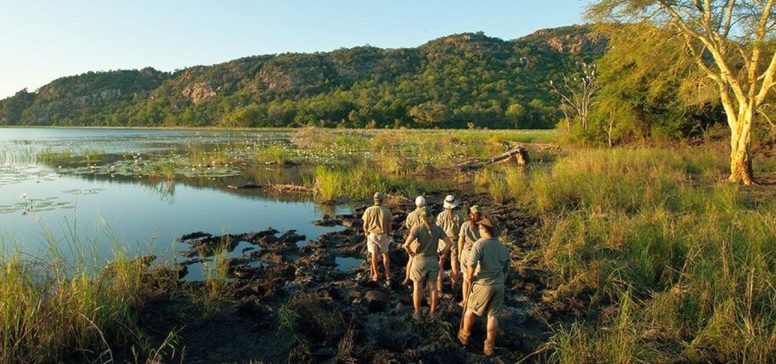 Divja Afrika na Safariju Makuleke - Odpelji.se
