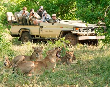 Divja Afrika na Safariju Makuleke