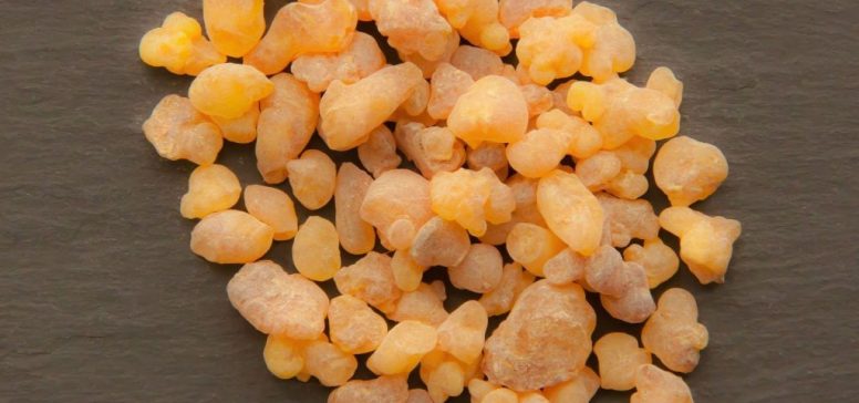 Oman potovanje - Bosvelia
