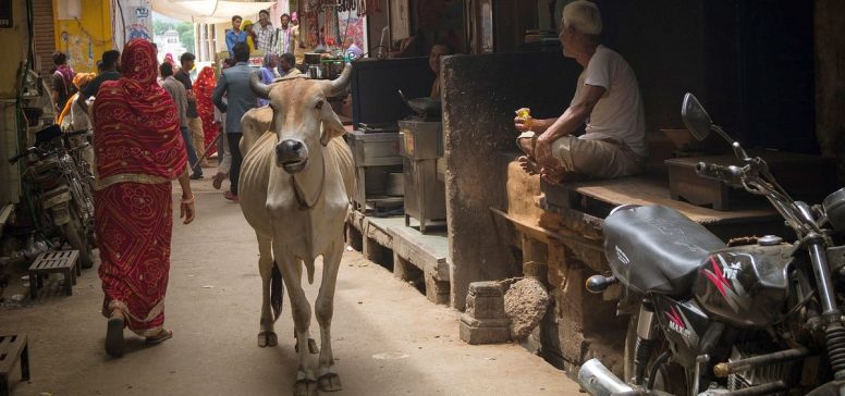 Indija potovanje - Varanasi