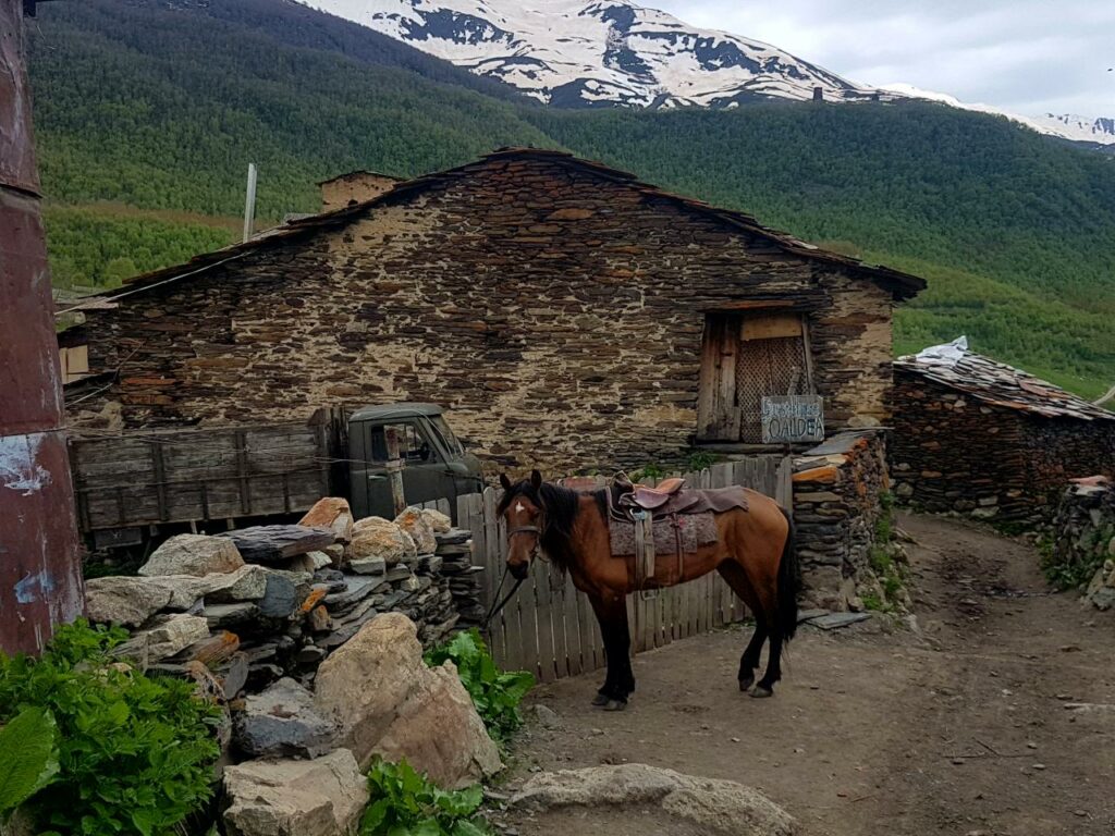 Vasica Ushguli
