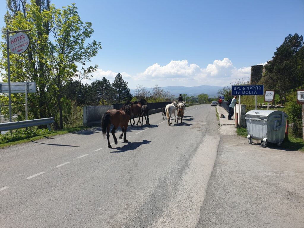 Gruzija potovanja - prava Gruzija