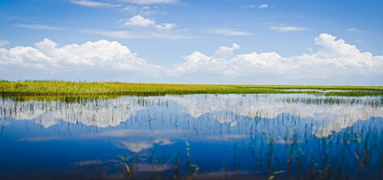 Florida potovanje - Everglades