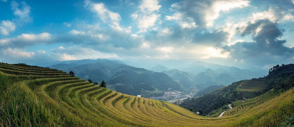 Balijski riževi vrtovi - Umetnost tradicionalne pridelave