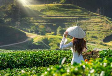 Vietnam Novoletno potovanje