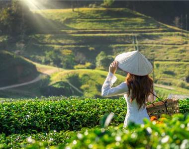 Vietnam Novoletno potovanje