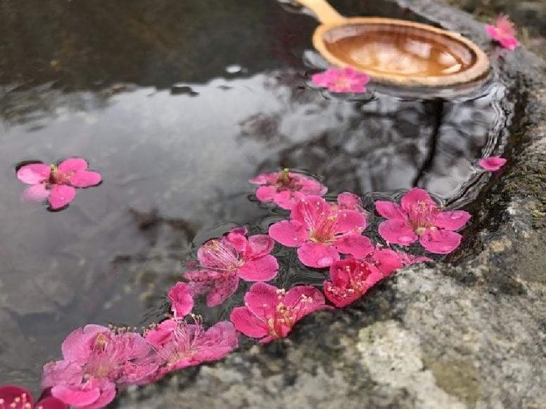 japonska in Južna Koreja potovanje