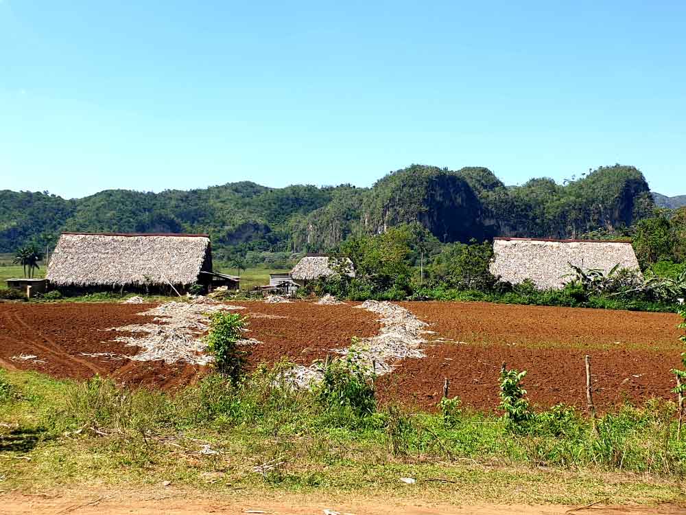 Dolina-Viñales-rdeča-zemlja