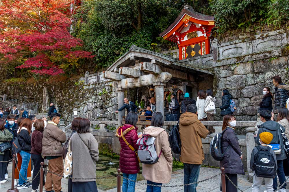 organizirano-na-japonsko-3