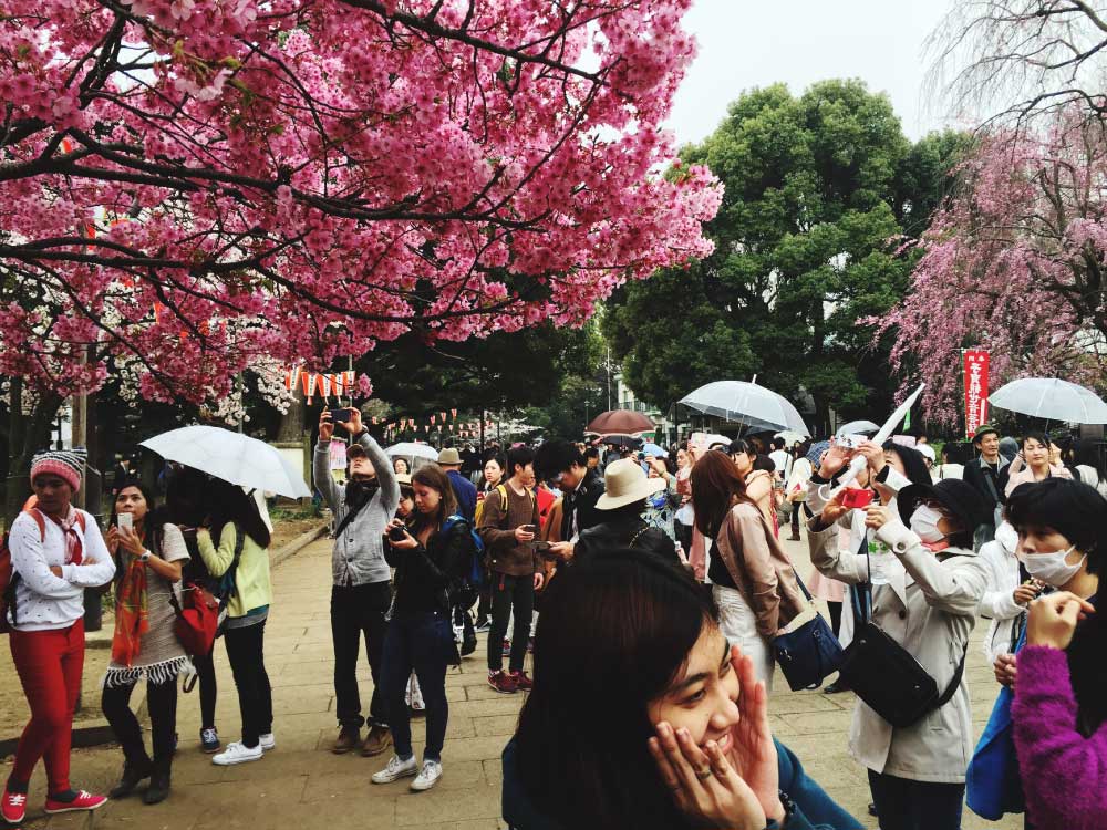 organizirano-na-japonsko-4